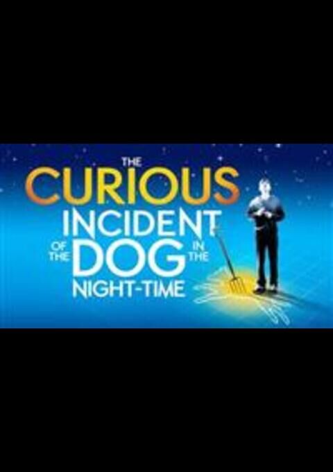 The Curious Incident of the Dog in the Night-Time