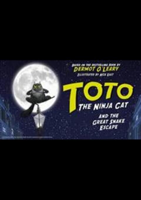 Toto the Ninja Cat